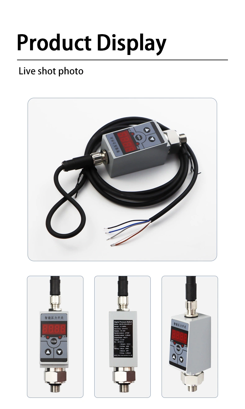 Digital Indicating Intelligent Flow Rate Totalizer Meter Supplier